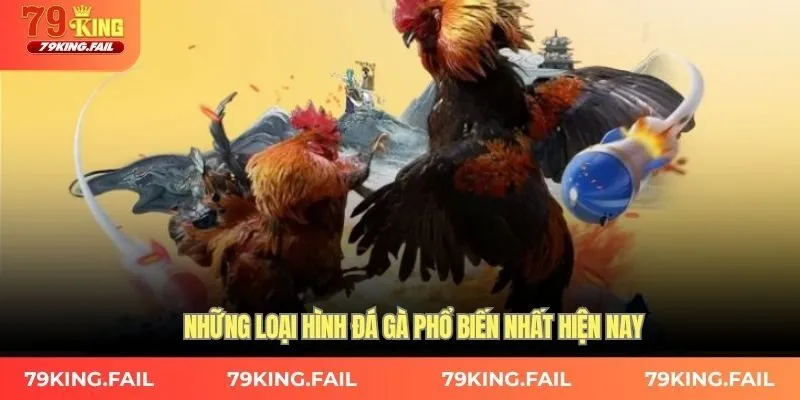 Những loại hình đá gà phổ biến nhất hiện nay