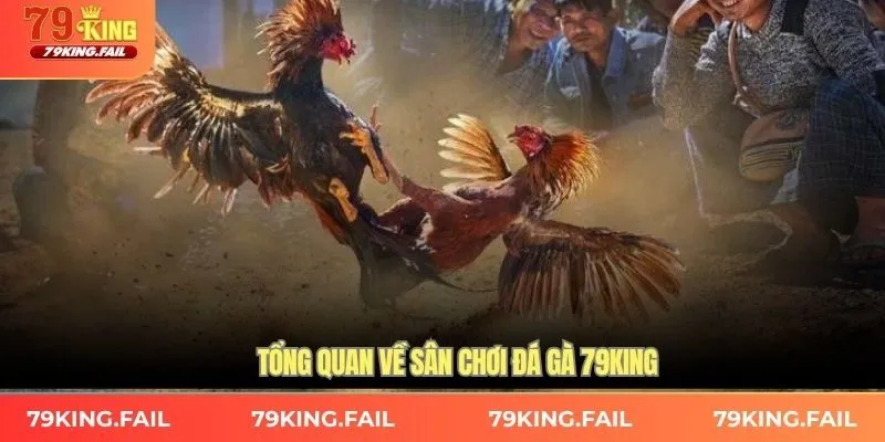 Tổng quan về sân chơi đá gà 79KING